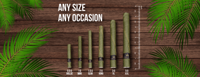 Why Mini Blunt Cones Are Taking Over the Smoking Scene